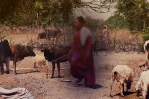 म जस्तै सेनाद्वारा बलत्कृत भएका कयौं छन् : सरस्वती थारु